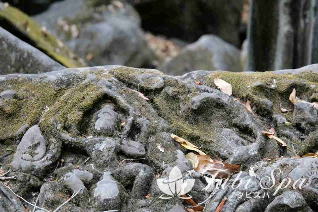 遺跡の隅々までみると、新しい発見が見つかる