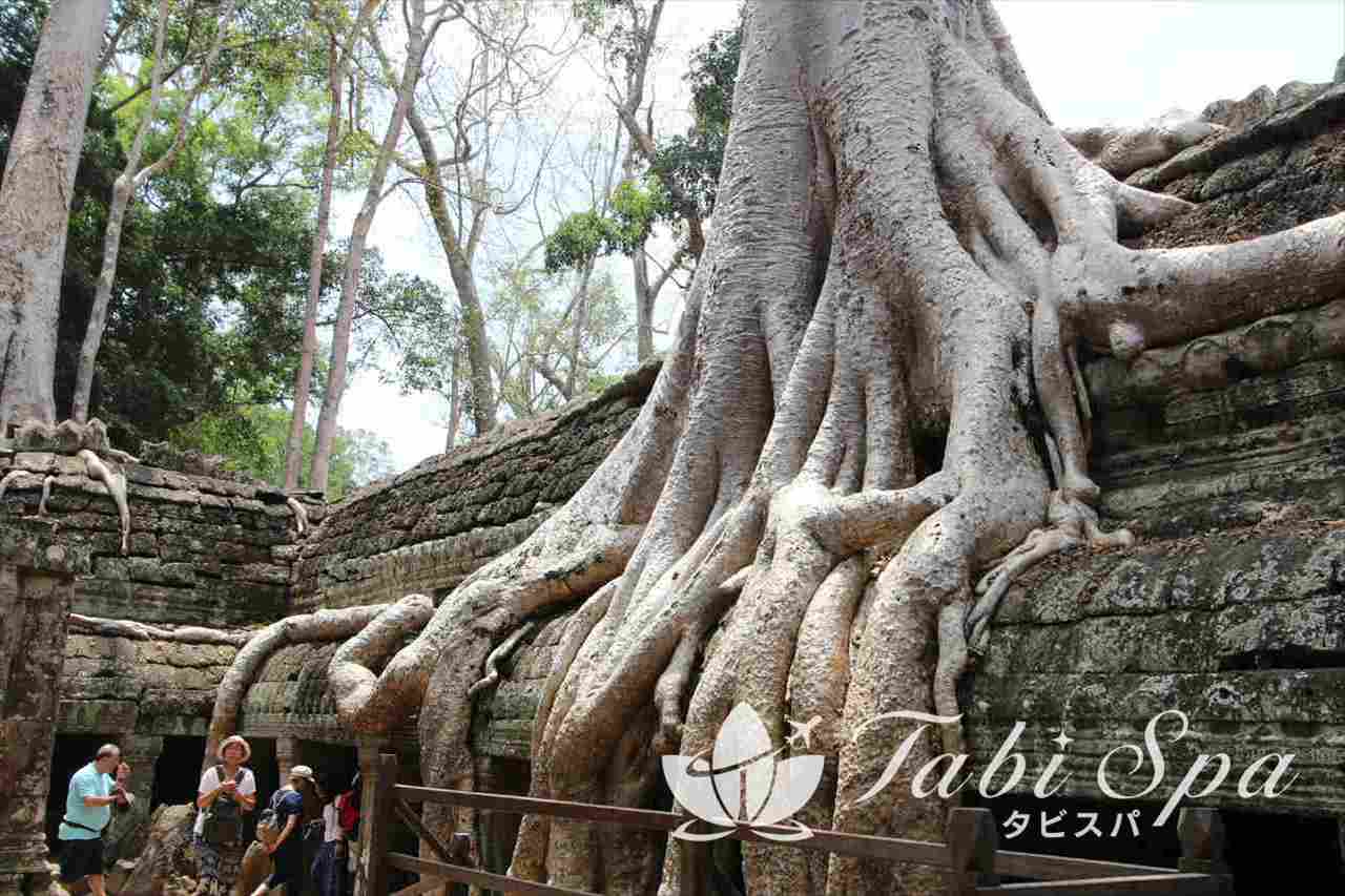 郊外のタ・プローム遺跡で映画の世界を体験