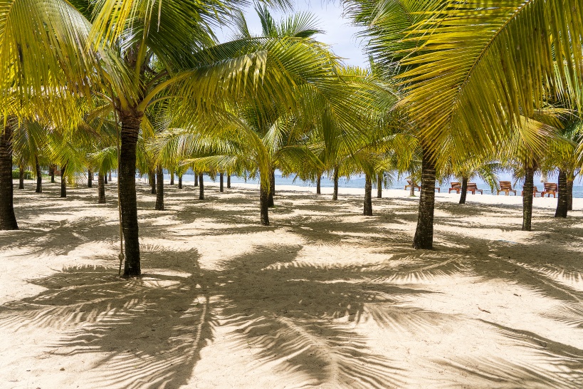 ベトナム・フーコック島は「典型的な熱帯気候」