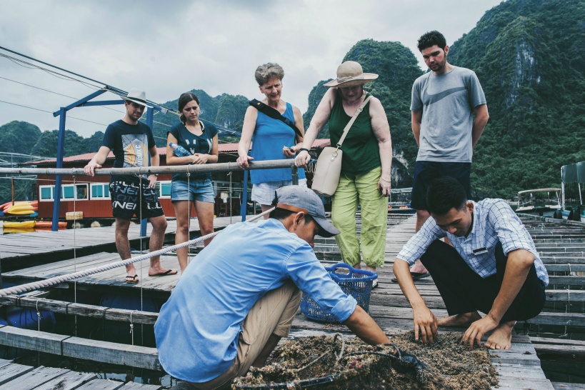 ハロン湾クルーズツアー。「船酔い」でがっかり観光になることはない！