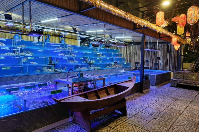 ダナンで海鮮レストランを選ぶ時の注意点|ぼったくり・衛生・注文方法