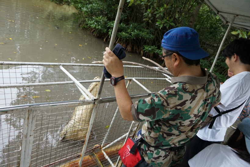 ベトナムの現地ツアーで初心者が迷いやすいチップの注意点